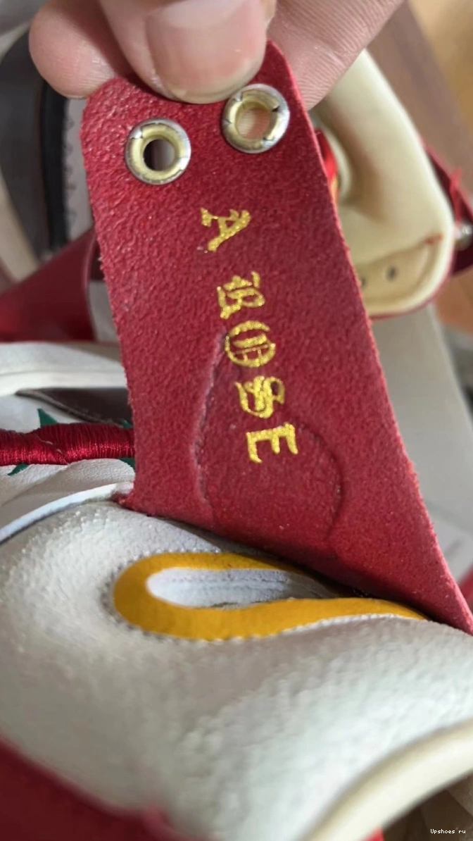 Air Teyana 1 Zoom From  Rose Taylor CMFT High   Harlem 2 Jordan A  FJ0604-601 0513